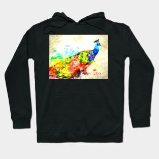 Peacock Hoodie